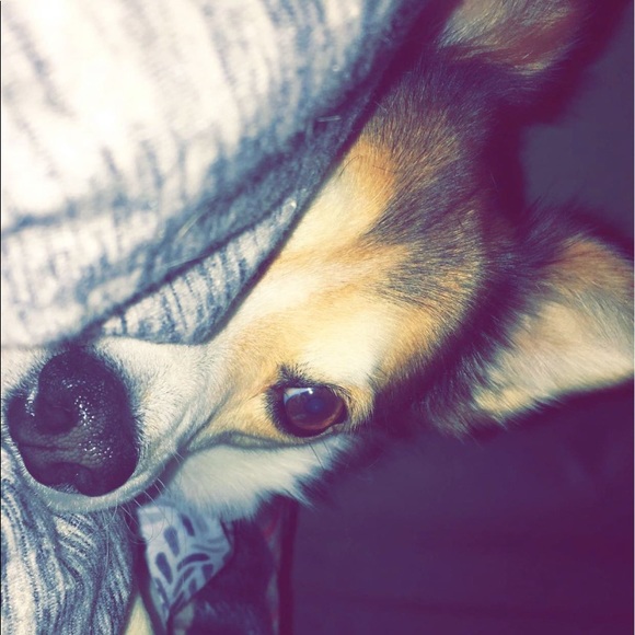 Meet your Posher, Kara - Picture 1 of 1